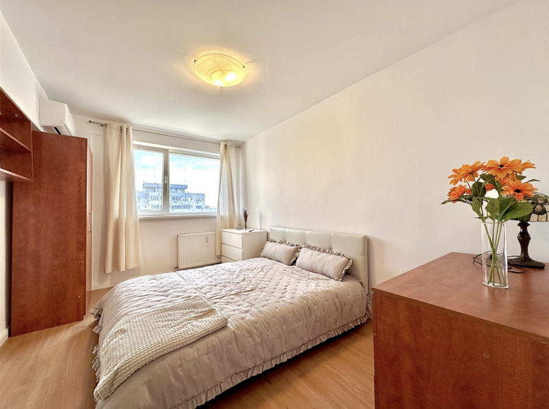 Piata victoriei, Nicolae Titulescu